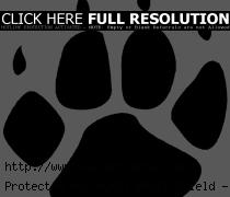 Bear Paw Prints Pictures