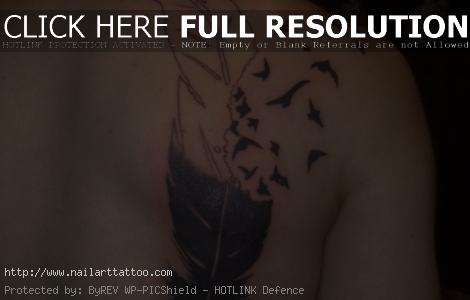 Bird Feather Tattoos Designs