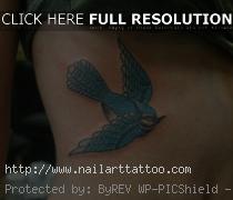 Blue Jay Bird Tattoos