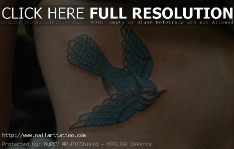 Blue Jay Bird Tattoos