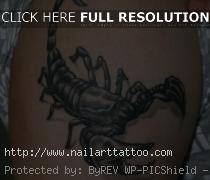 Cool Scorpion Tattoos Designs