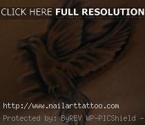 Dove Tattoos Pictures Gallery