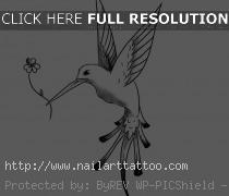 Hummingbird Tattoos Designs Free