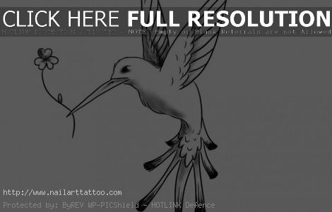 Hummingbird Tattoos Designs Free