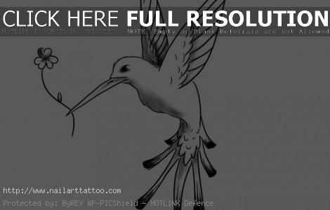 Hummingbird Tattoos Designs Free