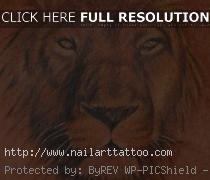 Lion Head Tattoos Designs