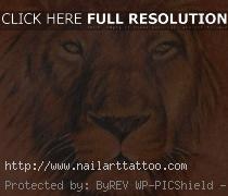 Lion Head Tattoos Designs