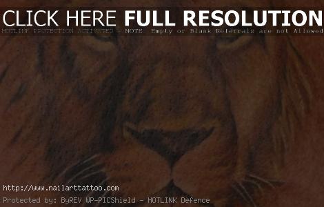 Lion Head Tattoos Designs