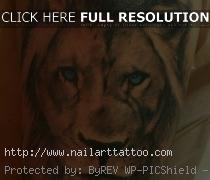 Lion Images For Tattoos