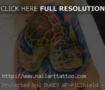 Meaning Of Sea Turtle Tattoos