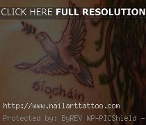 Peace Dove Tattoos Designs