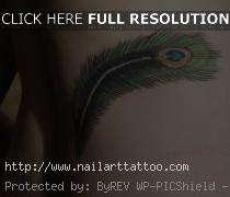 Peacock Feather Tattoos Pictures
