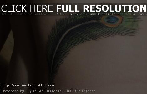 Peacock Feather Tattoos Pictures