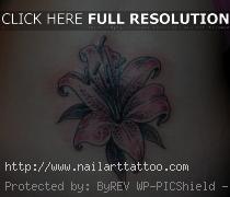 Pink Lily Tattoos Designs