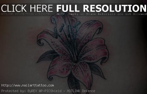 Pink Lily Tattoos Designs
