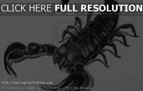Scorpion Drawings For Tattoos