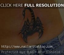 Scorpion Pictures For Tattoos