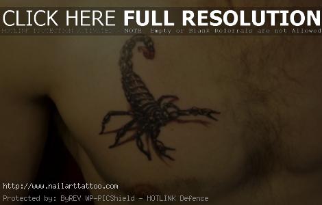 Scorpion Tattoos Designs For Men