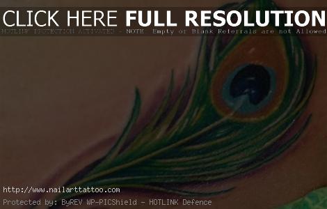 Small Peacock Feather Tattoos