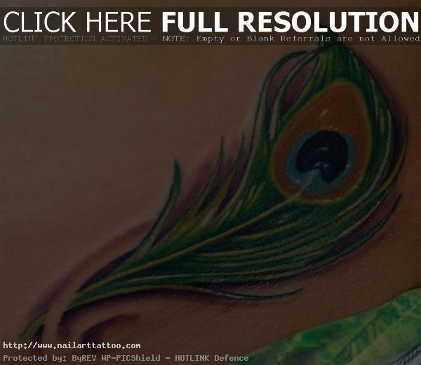 Small Peacock Feather Tattoos