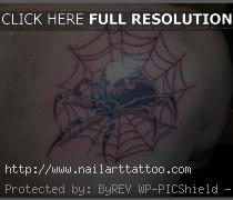 Spider Web Tattoos Designs