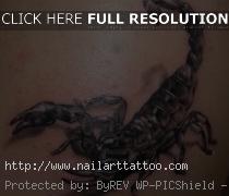 Tattoos Images Of Scorpions