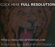 Lion And Tiger Tattoos