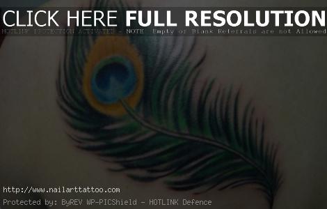 Peacock Feather Designs For Tattoos