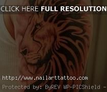 Half Sleeve Lion Tattoos