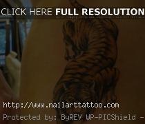 Tiger Tattoos On The Back