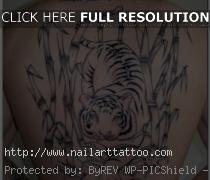 Tiger Tattoos Pictures Gallery