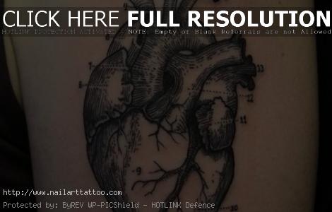 anatomically correct heart tattoo