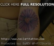 aster flower tattoo drawing