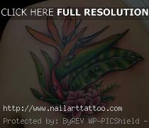bird of paradise tattoo designs