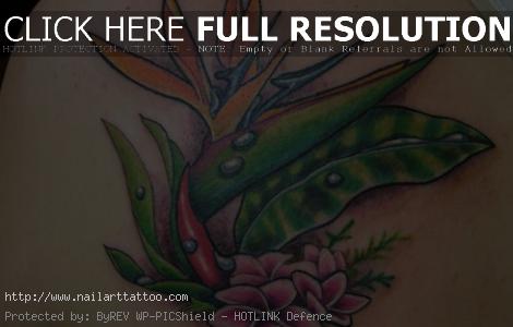 bird of paradise tattoo designs