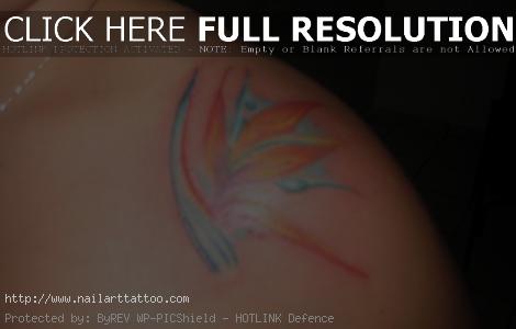bird of paradise tattoo pictures