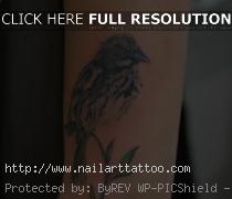 bird tattoos for women on arm