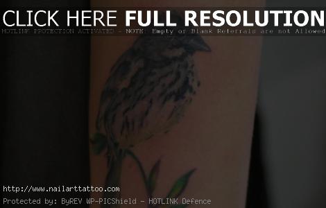 bird tattoos for women on arm