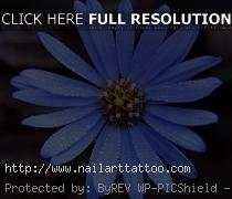 blue aster flower tattoo