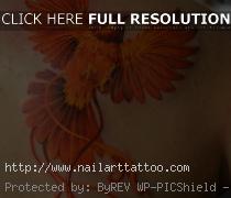 png bird of paradise tattoo designs