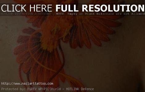 png bird of paradise tattoo designs