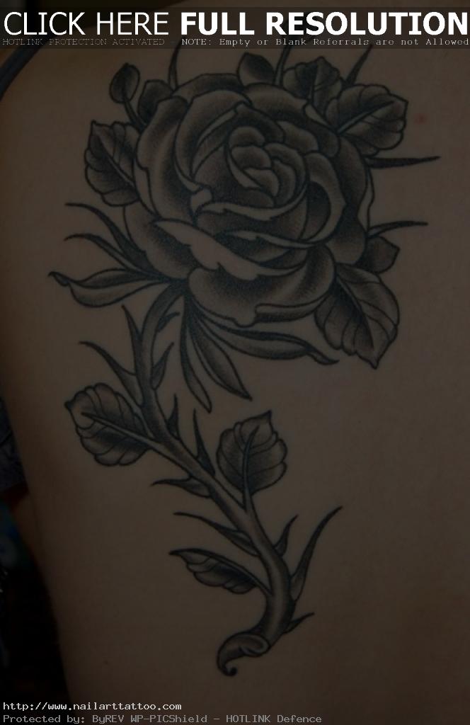 black rose tattoos designs