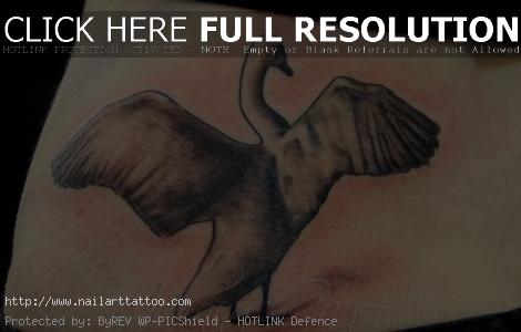 black swan tattoo pictures