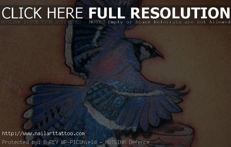 blue jay tattoo designs