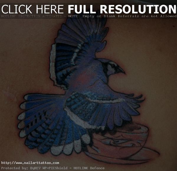 blue jay tattoo designs