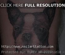 boston terrier tattoo pictures