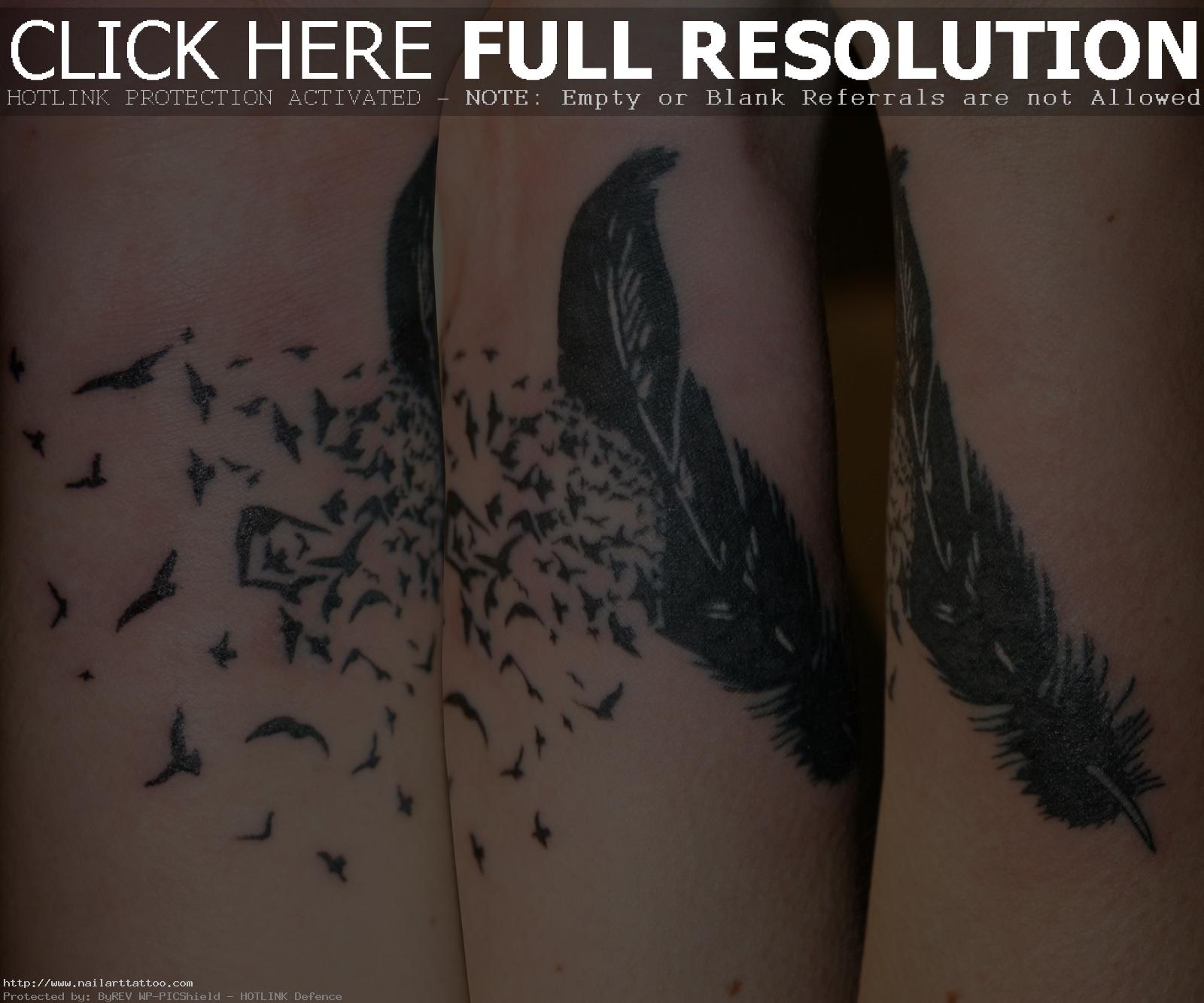 feather bird tattoo